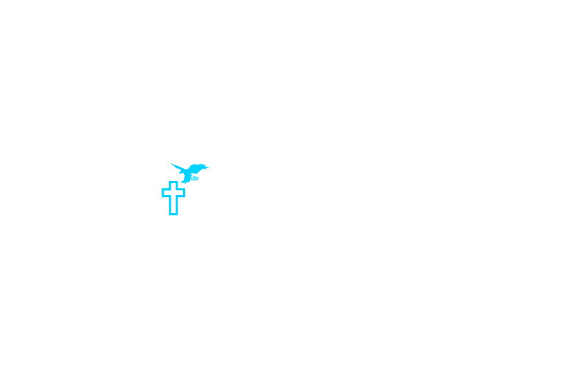 Logo IMUT ANGOLA